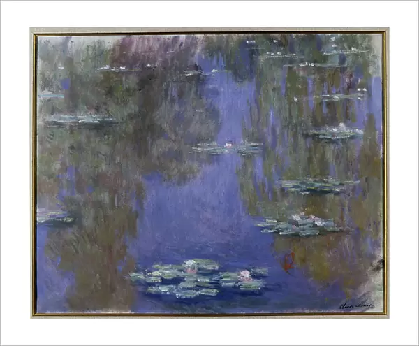 Waterlilies, 1903 (oil on canvas)
