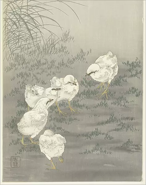 Five chicks, 1900-36 (colour woodcut)