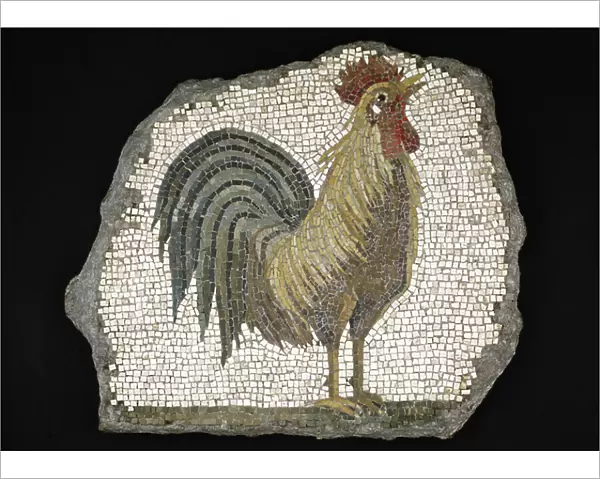 Cockerel (mosaic)