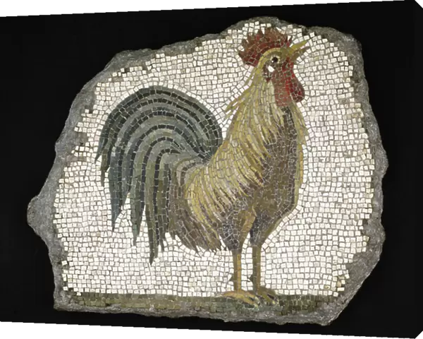 Cockerel (mosaic)