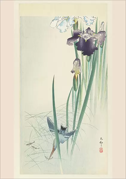 Kingfisher and Irises, 1900-30 (colour woodcut)