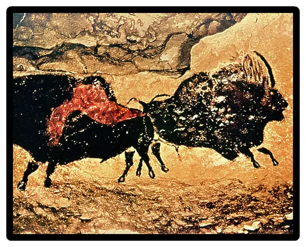 Cave painting of bison, Caves of Lascaux, Dordogne, c.17000 BC (mural)