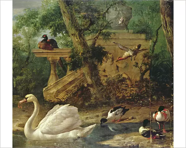 Birds in a Garden (oil on canvas)