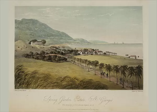 Spring Garden Estate, St. George's, 1825 (engraving)