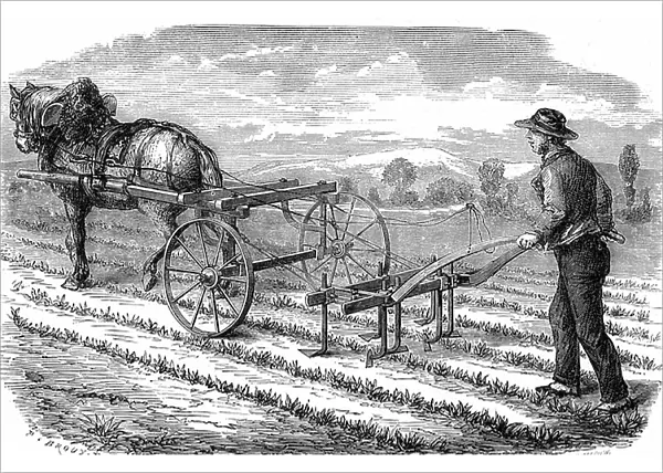Meanic root for beet fields (sugar industry) 1867 (engraving)