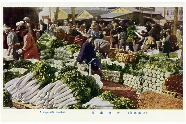 Japanese vegetable market