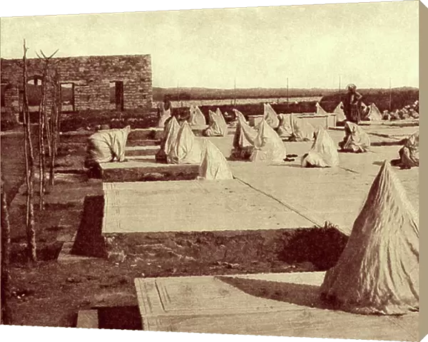 Jewish Cemetery at Tunis, Tunisia