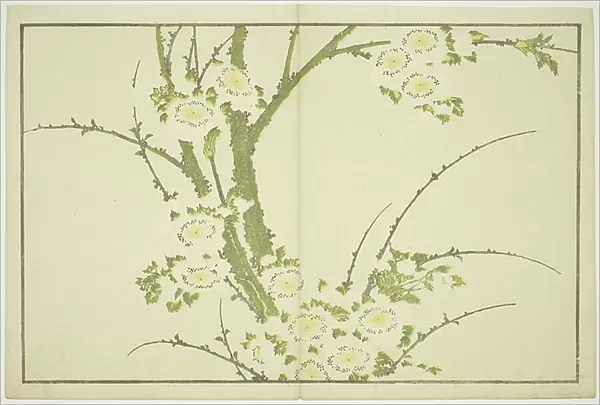 Flowers, from The Picture Book of Realistic Paintings of Hokusai (Hokusai shashin gafu), c.1814 (colour woodblock print (album sheet))