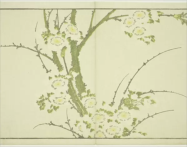 Flowers, from The Picture Book of Realistic Paintings of Hokusai (Hokusai shashin gafu), c.1814 (colour woodblock print (album sheet))
