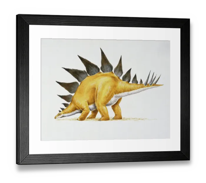 Framed Print : Late Jurassic Stegosaurus Print