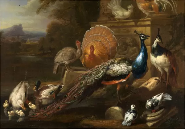 Peacocks, Doves, Turkeys, Chickens and Ducks by a Classical Ruin Signed, lower center