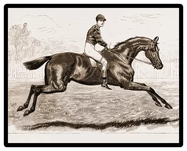 iroquois, the Winner of the Derby of 1881, and his Jockey, Fred Archer