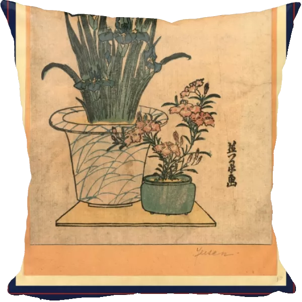 Hanashobu ni nadeshiko, Potted irises and pinks. Ikeda, Eisen, 1790-1848, artist