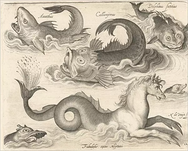 Fantastic invertebrates, including a seahorse, Nicolaes de Bruyn, 1581 - 1656