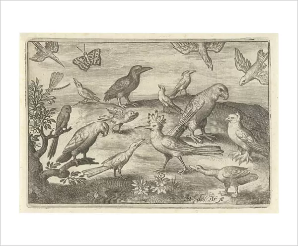 Hop and other birds, Nicolaes de Bruyn, 1594