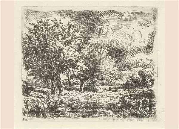 Landscape with willows, Adrianus van Everdingen, 1842-1912