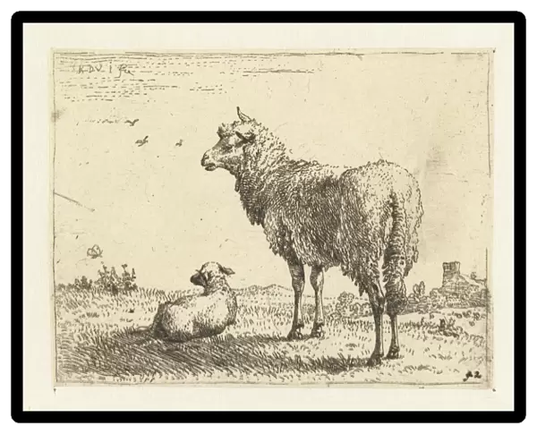 Ewe with lamb, Karel Dujardin, 1652 - 1659