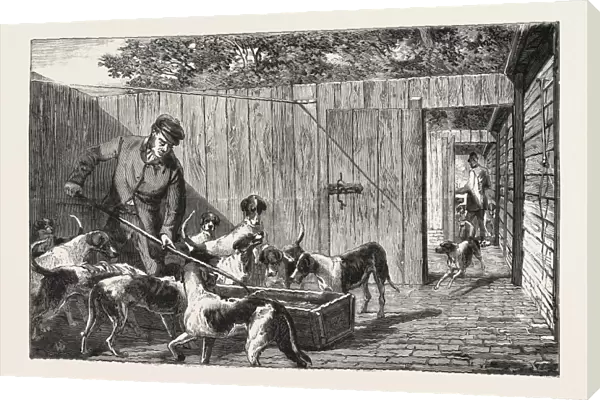 Fox Hunting, Breakfast Time at the Kennels, Hunt, Engraving 1876, Uk, Britain, British