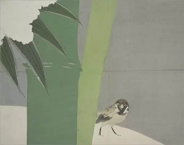 Sparrow and Bamboo. Kamisaka, Sekka, (Artist), Date Issued: 1909, Momoyogusa = Flowers