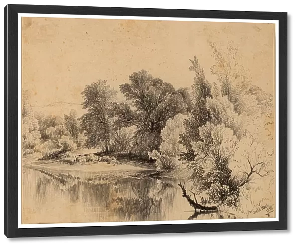James McDougal Hart, Pond Edge, American, 1828 - 1901, 1858, graphite