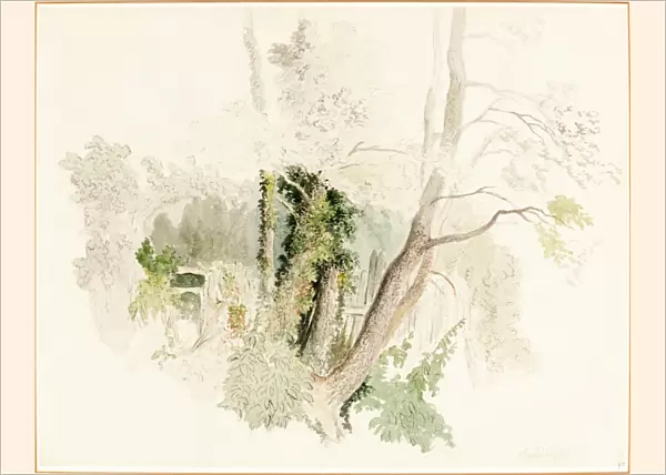 Robert Hills, British (1769-1844), Trees at Beddington, possibly c