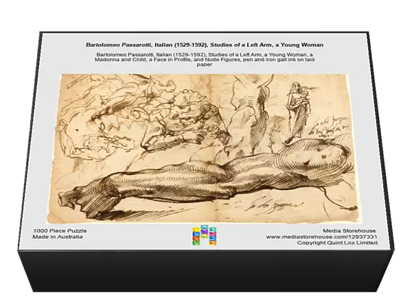 Bartolomeo Passarotti, Italian (1529-1592), Studies of a Left Arm, a Young Woman