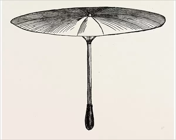 Umbrella for Hawks
