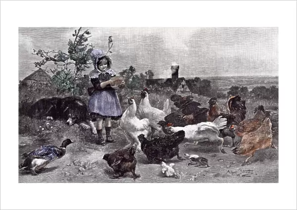 1891, a. w. strutt, asleep, branch, broad scenery, bush, poultry, chicken, chicks