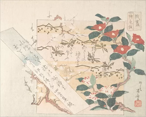 Designs Writing-Paper Flowers Edo period 1615-1868