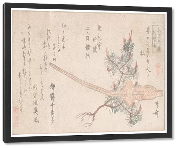 Young Pine Tree Handle Plow Edo period 1615-1868