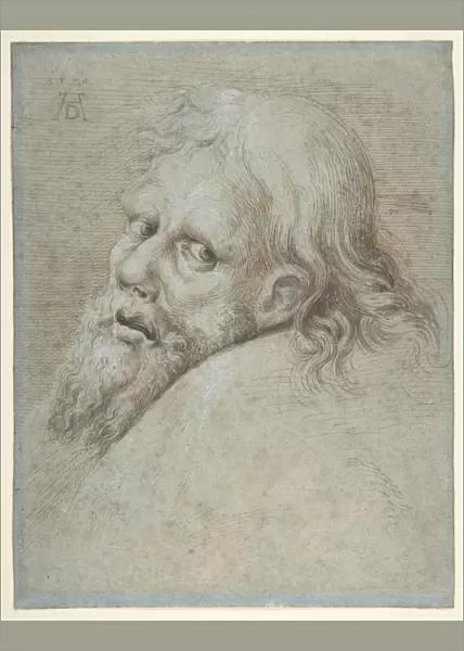 Head Bearded Man 1579 Pen orange-brown ink brush