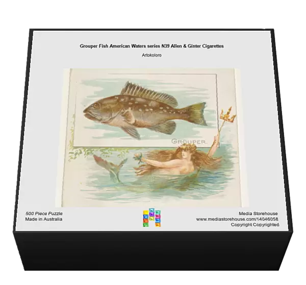 Grouper Fish American Waters series N39 Allen & Ginter Cigarettes