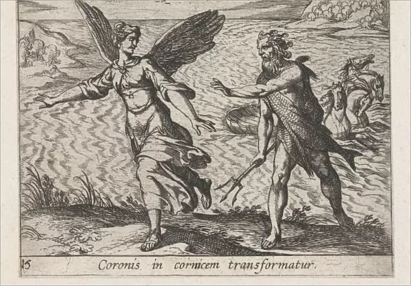 Plate 15 Daughter Croneus Changed Cow Coronis