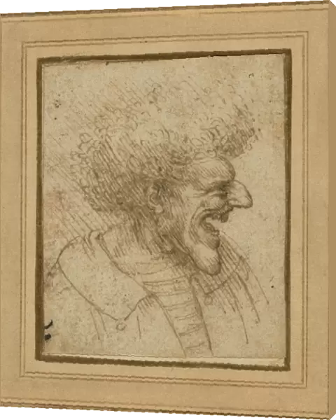 Caricature Man Bushy Hair Leonardo da Vinci Italian