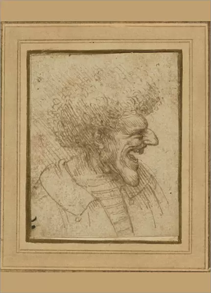 Caricature Man Bushy Hair Leonardo da Vinci Italian