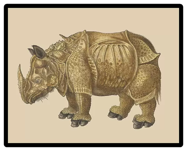 De rhinocerote Historiae animalivm Gesner
