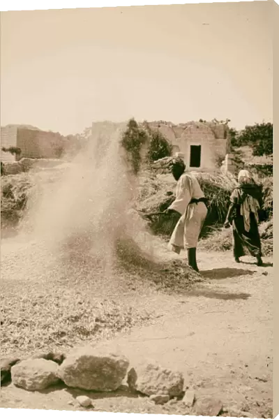 Peasant winnowing Field Boaz 1898 Middle East