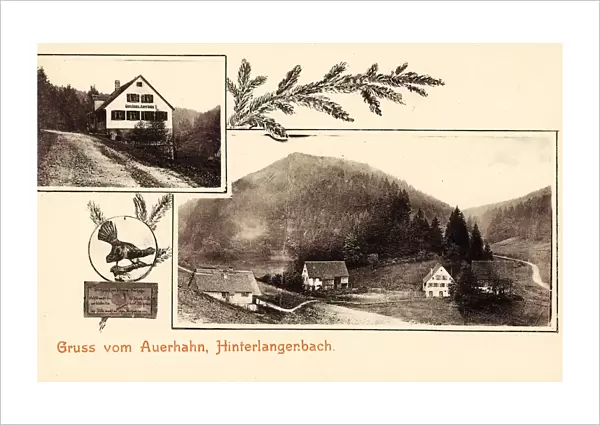 Multiview postcards Restaurants Baiersbronn 1904