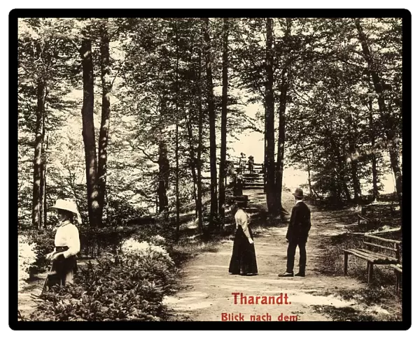 Parks Saxony Tharandt 1911 Sachsische Schweiz-Osterzgebirge