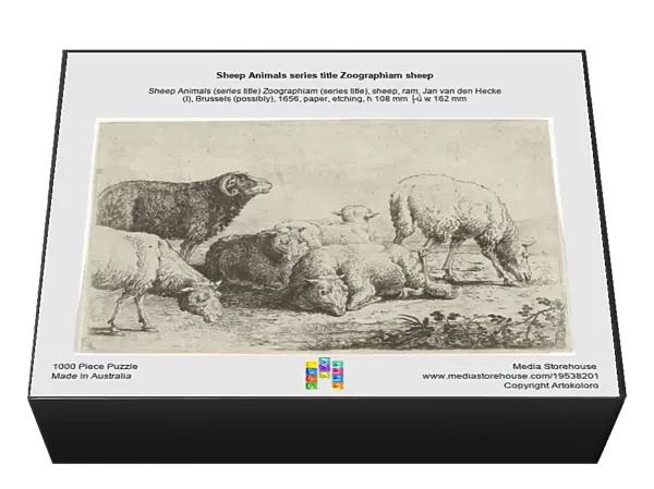 Sheep Animals series title Zoographiam sheep