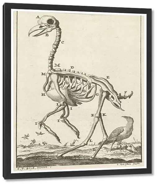 Skeleton crow Kray title object Print top right marked