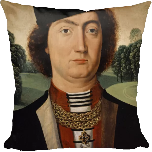 Portrait James Savoy Count Romont front Complete Coat