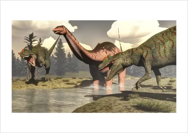 Two Allosaurus dinosaurs attacking a large Apatosaurus