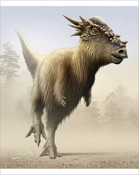 Stygimoloch, a genus of pachycephalosaurid from the Cretaceous period