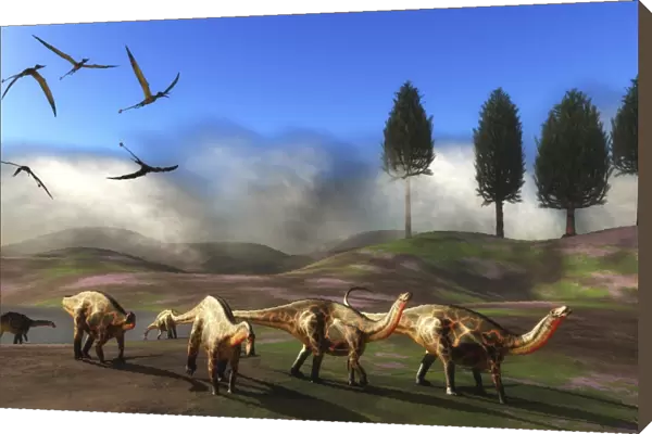 Rhamphorhynchus birds fly over a herd of Dicraeosaurus dinosuars