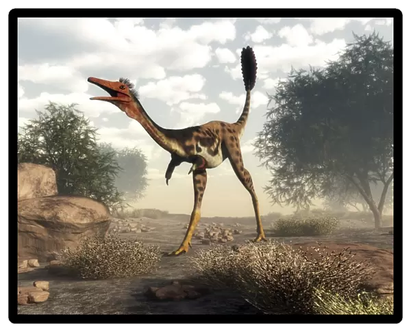 Mononykus dinosaur walking in the desert