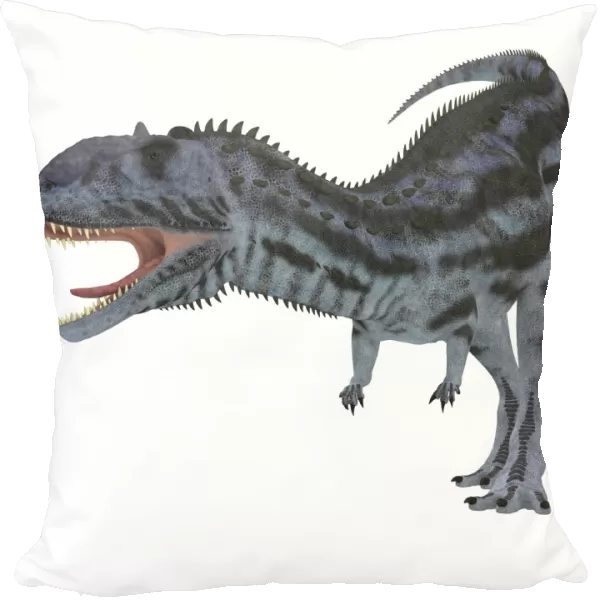 Majungasaurus dinosaur, white background