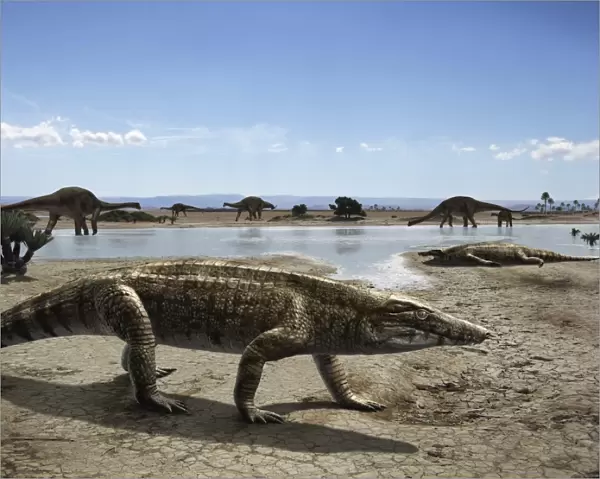 Uberabasuchus terrificus in an arid climate