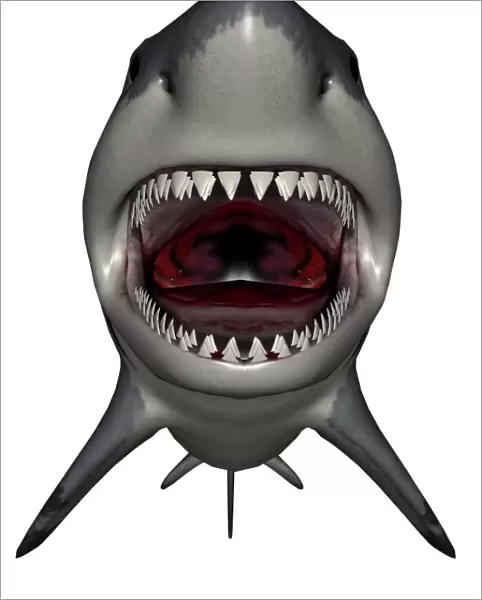 Megalodon dinosaur with mouth open