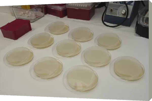 Cloning dishes in research lab